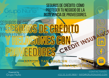 Seguros de crédito y relaciones con proveedores: Protegiendo tu negocio y fomentando asociaciones sólidas